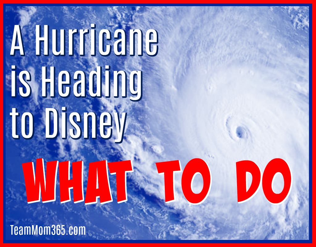 A Hurricane is Coming to Disney What to Do