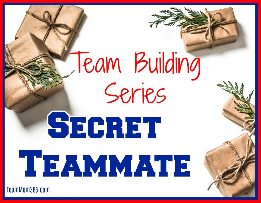 Team Building Series Secret Teammate