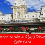 12 Blogger of Christmas Giveaway