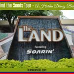 Behind the Seeds Tour – A Hidden Disney Bargain