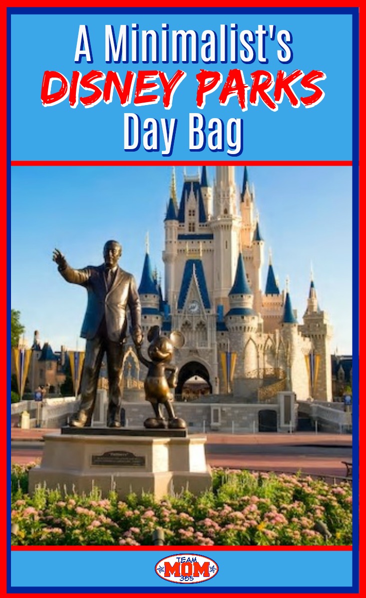 Disney Parks Day Bag