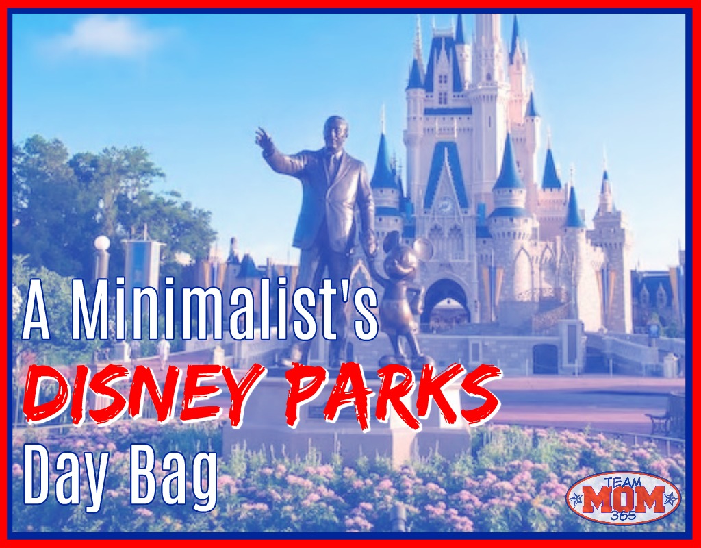 Disney Parks Day Bag