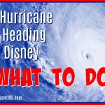 A Hurricane is Coming to Disney What to Do