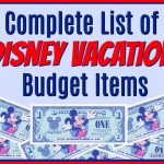 Complete List of Disney Vacation Budget Items