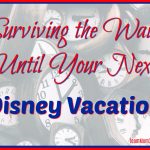 Surviving the Wait Until Your Next Disney Vacation