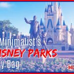 A Minimalist’s Disney Parks Day Bag